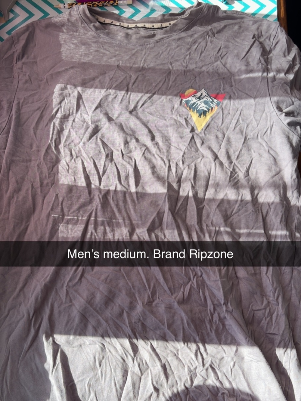 Men's Ripzone Graphic T-Shirt - Mountain Logo